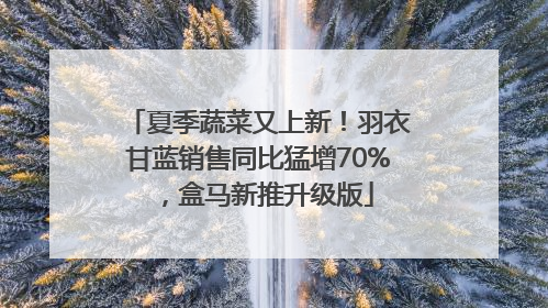夏季蔬菜又上新！羽衣甘蓝销售同比猛增70%，盒马新推升级版