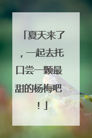 夏天来了，一起去托口尝一颗最甜的杨梅吧！