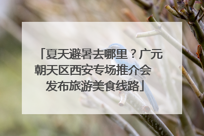 夏天避暑去哪里？广元朝天区西安专场推介会 发布旅游美食线路