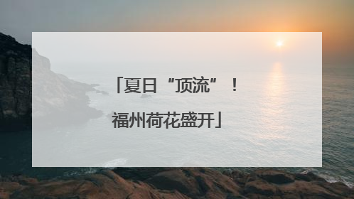 夏日“顶流”！福州荷花盛开