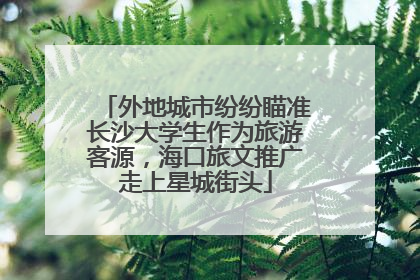 外地城市纷纷瞄准长沙大学生作为旅游客源，海口旅文推广走上星城街头