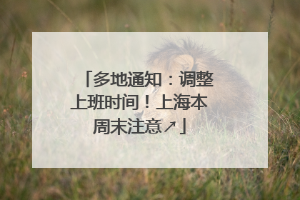 多地通知：调整上班时间！上海本周末注意↗