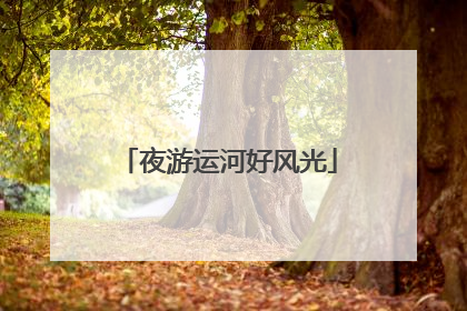 夜游运河好风光