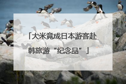 大米竟成日本游客赴韩旅游“纪念品”