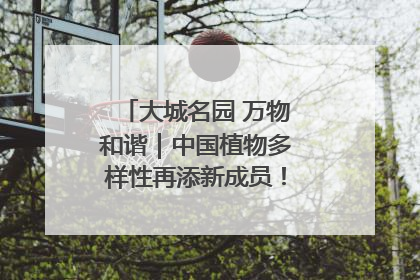 大城名园 万物和谐｜中国植物多样性再添新成员！它只在西藏墨脱