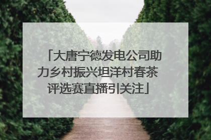 大唐宁德发电公司助力乡村振兴坦洋村春茶评选赛直播引关注