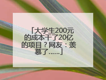大学生200元的成本干了20亿的项目？网友：羡慕了……