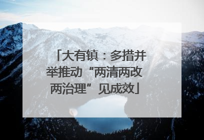 大有镇：多措并举推动“两清两改两治理”见成效