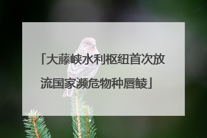 大藤峡水利枢纽首次放流国家濒危物种唇鲮