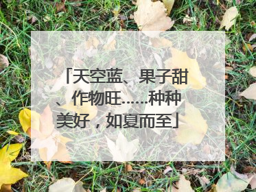 天空蓝、果子甜、作物旺……种种美好，如夏而至