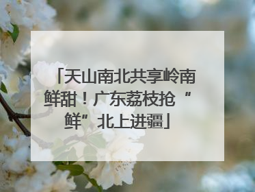 天山南北共享岭南鲜甜！广东荔枝抢“鲜”北上进疆