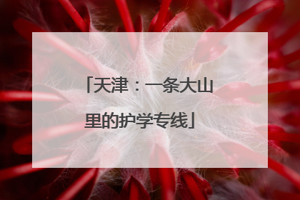 天津：一条大山里的护学专线