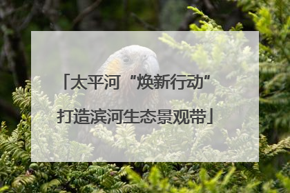太平河“焕新行动” 打造滨河生态景观带