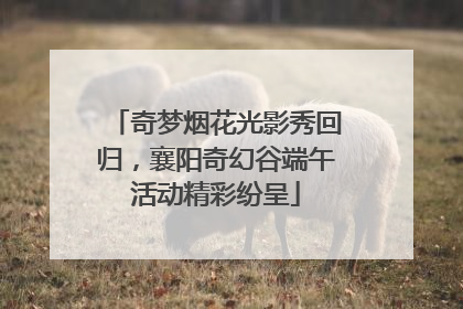 奇梦烟花光影秀回归，襄阳奇幻谷端午活动精彩纷呈
