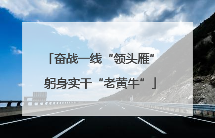 奋战一线“领头雁” 躬身实干“老黄牛”