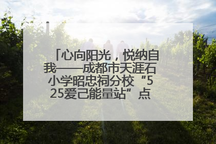 心向阳光，悦纳自我——成都市天涯石小学昭忠祠分校“525爱己能量站”点亮孩子心灵之旅