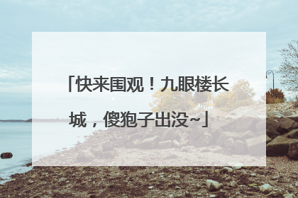 快来围观！九眼楼长城，傻狍子出没~