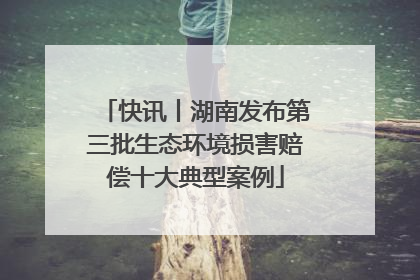 快讯丨湖南发布第三批生态环境损害赔偿十大典型案例