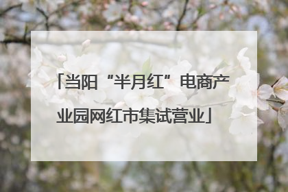 当阳“半月红”电商产业园网红市集试营业