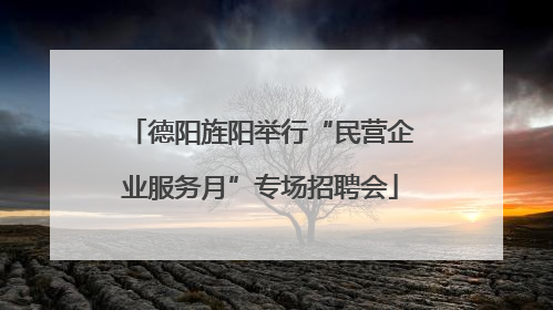 德阳旌阳举行“民营企业服务月”专场招聘会
