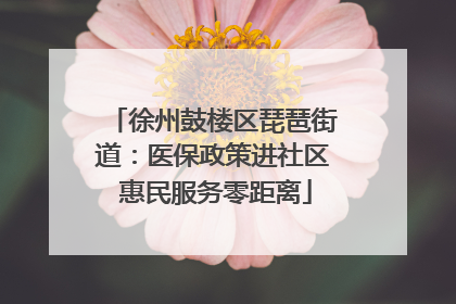 徐州鼓楼区琵琶街道：医保政策进社区 惠民服务零距离