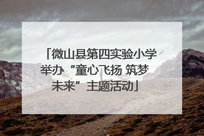 微山县第四实验小学举办“童心飞扬 筑梦未来”主题活动