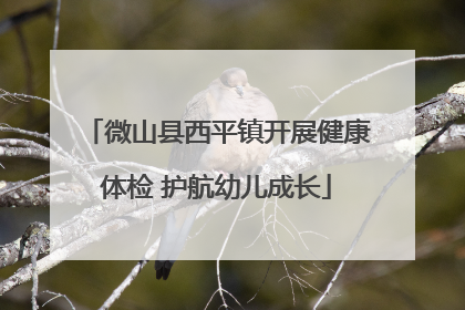 微山县西平镇开展健康体检 护航幼儿成长