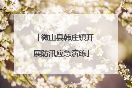 微山县韩庄镇开展防汛应急演练