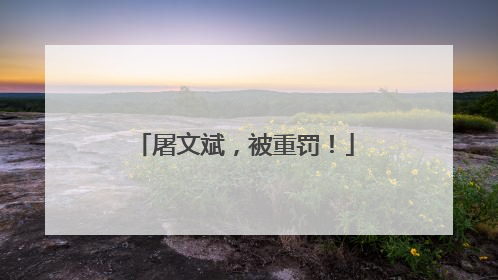 屠文斌，被重罚！