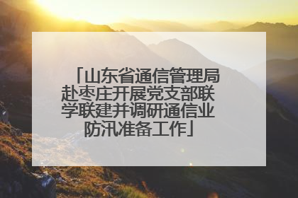 山东省通信管理局赴枣庄开展党支部联学联建并调研通信业防汛准备工作