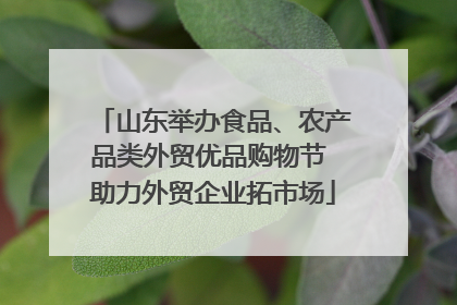 山东举办食品、农产品类外贸优品购物节 助力外贸企业拓市场