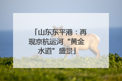 山东东平港：再现京杭运河“黄金水道”盛景