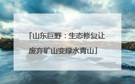 山东巨野：生态修复让废弃矿山变绿水青山