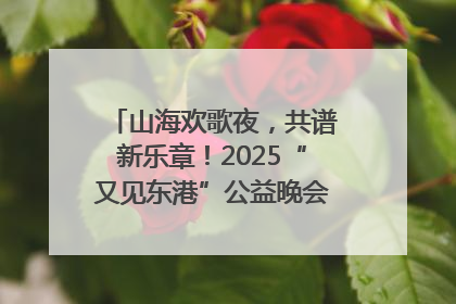 山海欢歌夜，共谱新乐章！2025“又见东港”公益晚会奏响文旅强音