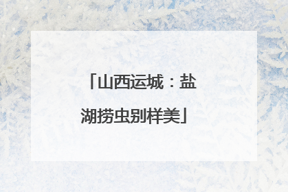 山西运城：盐湖捞虫别样美
