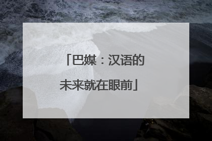 巴媒：汉语的未来就在眼前