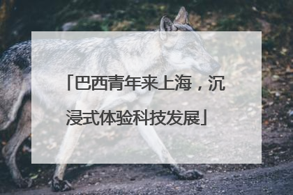 巴西青年来上海，沉浸式体验科技发展