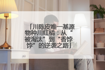 川陈皮唯一基源物种川红橘：从“被淘汰”到“香饽饽”的逆袭之路
