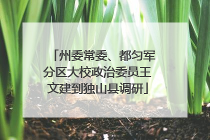 州委常委、都匀军分区大校政治委员王文建到独山县调研