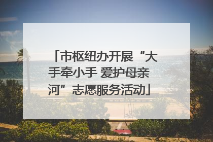 市枢纽办开展“大手牵小手 爱护母亲河”志愿服务活动