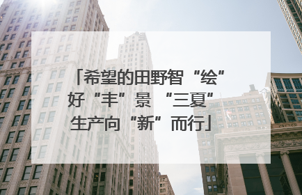 希望的田野智“绘”好“丰”景 “三夏”生产向“新”而行