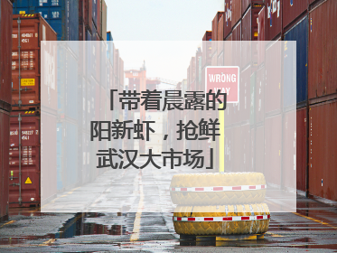 带着晨露的阳新虾，抢鲜武汉大市场