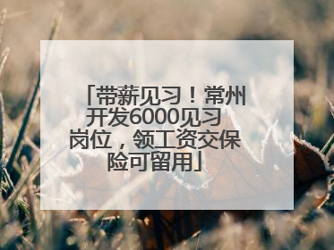 带薪见习！常州开发6000见习岗位，领工资交保险可留用