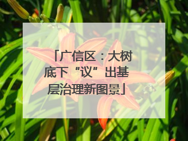 广信区：大树底下“议”出基层治理新图景