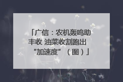 广信：农机轰鸣助丰收 油菜收割跑出“加速度”（图）