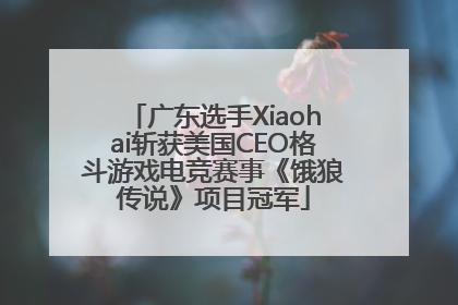 广东选手Xiaohai斩获美国CEO格斗游戏电竞赛事《饿狼传说》项目冠军