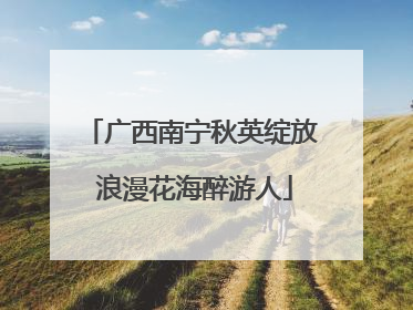 广西南宁秋英绽放 浪漫花海醉游人