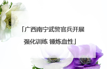 广西南宁武警官兵开展强化训练 锤炼血性