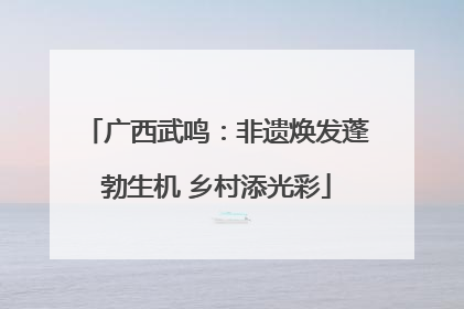 广西武鸣：非遗焕发蓬勃生机 乡村添光彩
