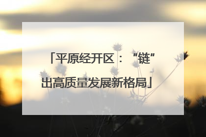 平原经开区：“链”出高质量发展新格局